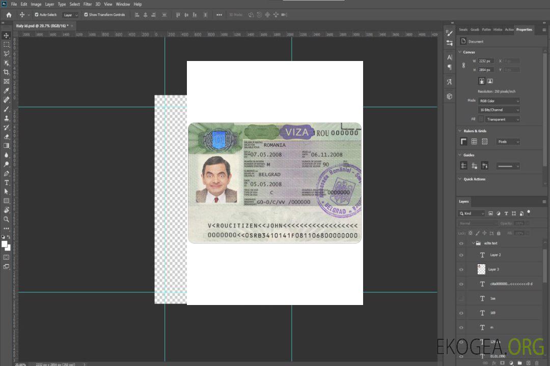 Visa ROUMANIE template Visa ROUMANIE template